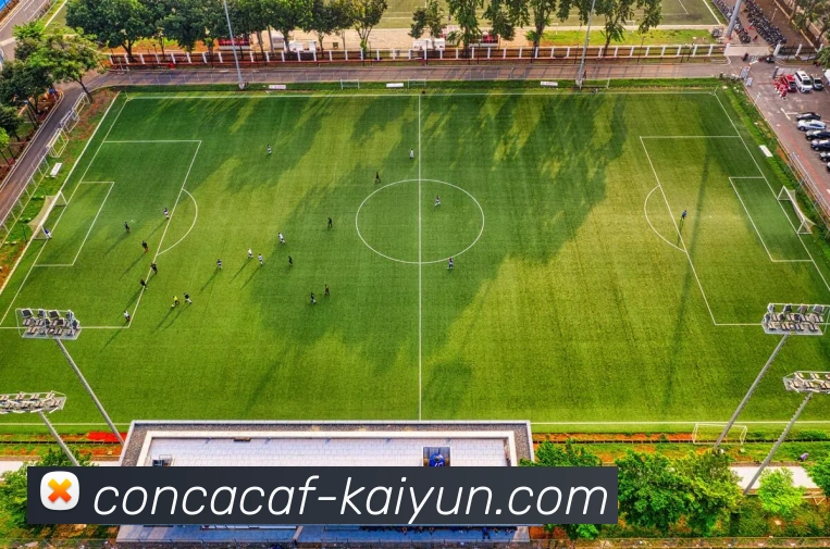 开云平台APP 封面图